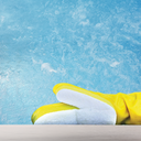 Scrub-o-pool - 2.png