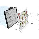Scoop Deluxe - 3.webp